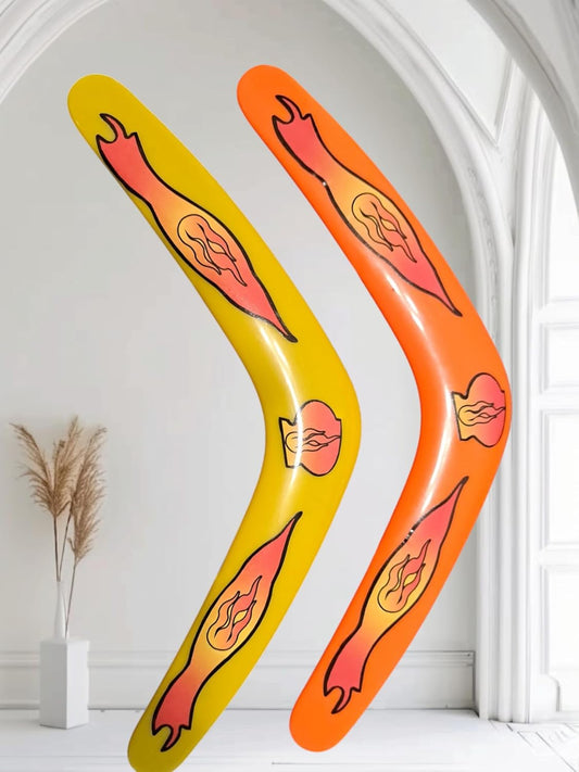 Boomerang Playing Sports with a Boomerang Outdoors